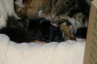 /album/fotogalerij/imgp3275-jpg/