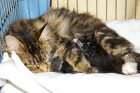 /album/fotogalerij/imgp3276-jpg/