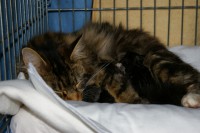 /album/fotogalerij/imgp3277-jpg/