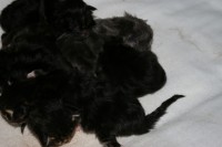 /album/fotogalerij/imgp3281-jpg/