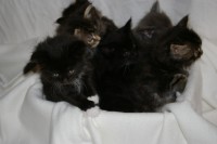 /album/fotogalerij/imgp3849-jpg/