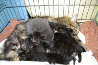 /album/fotogalerij/imgp3492-jpg/