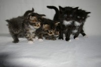 /album/fotogalerij/imgp3697-jpg/