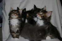 /album/fotogalerij/imgp3944-jpg/