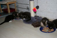 /album/fotogalerij/imgp4066-jpg/