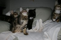 /album/fotogalerij/imgp4400-jpg/