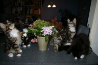 /album/fotogalerij/imgp4887-jpg/