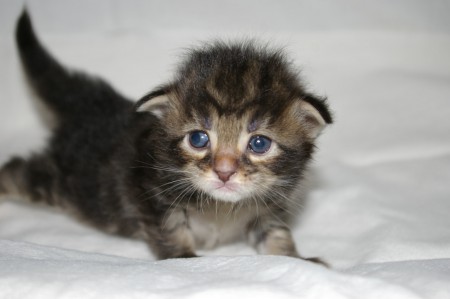 Aafke 1 week oud