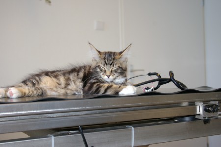 12 weken oud, de tweede enting