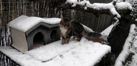 5,5 maand oud, bij Ad en Anne-Mieke