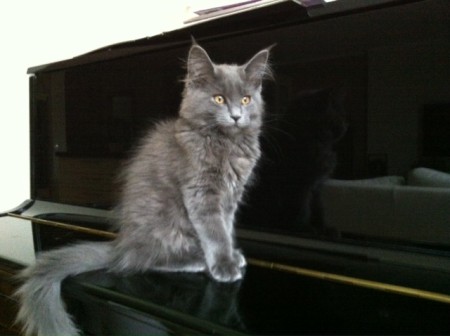 14 weken oud bij de familie Derksen