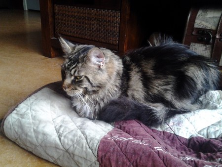 Hiep hiep hoera! Ik ben 1 jaar!